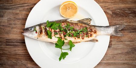 New study suggests eating fish during pregnancy could be beneficial, not dangerous