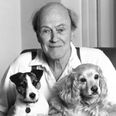 Are you anti-vaxx? Why author Roald Dahl believed it was “almost a crime” to let children go unimmunised