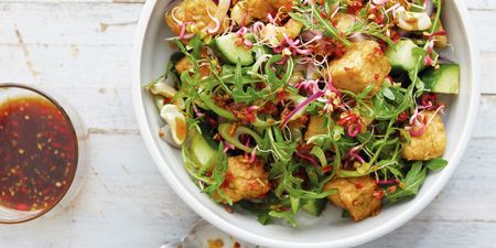 The HONESTLY HEALTHY #slimdown: Cucumber and Tempeh Salad
