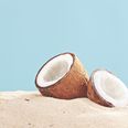 Go (Coco) Nuts: Three new ways to eat the prized fruit of the palm tree