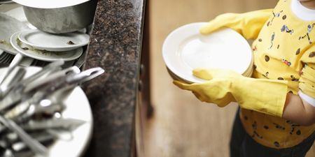 Allergies: This time the dishwasher is to blame, says a new study
