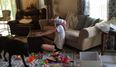 WATCH: This is what happens when you try to work from home with a toddler