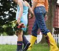 Sow & Grow your own vegetables for Lilly Higgins’ delicious recipes