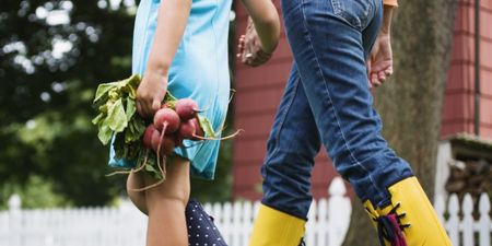 Sow & Grow your own vegetables for Lilly Higgins’ delicious recipes