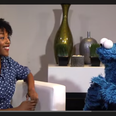 WATCH: Cookie monster has the answers to all of life’s problems… have a cookie!