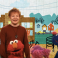 WATCH: Ed Sheeran sings with his furry band on Sesame Street