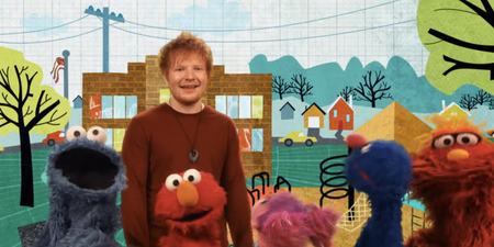 WATCH: Ed Sheeran sings with his furry band on Sesame Street