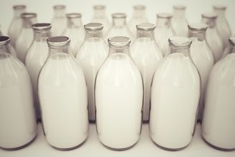 Scientists find out what’s REALLY in breast milk bought online