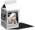 Help find Monkey: One dad’s online appeal for help really touched us