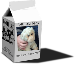 Help find Monkey: One dad’s online appeal for help really touched us