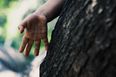 Parent hack: how to remove a splinter (without using tweezers)