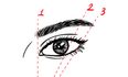 10 Things I’ve Learned About Eyebrow Grooming