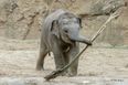 [CLOSED] COMPETITION: We’re giving away an annual family pass to Dublin zoo!