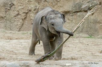 [CLOSED] COMPETITION: We’re giving away an annual family pass to Dublin zoo!