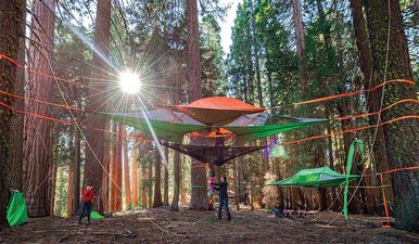 Behold the treehouse tents of your dreams