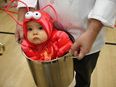 10 adorable babies in costume that prove there is no such a thing as TOO CUTE