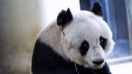 Is world’s oldest Granny also world’s cutest granny?