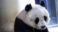 Is world’s oldest Granny also world’s cutest granny?