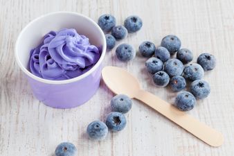 5-minute frozen yoghurt: Sweet treats have never been so simple