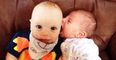 This baby thought his buddy was a boob…
