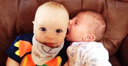 This baby thought his buddy was a boob…