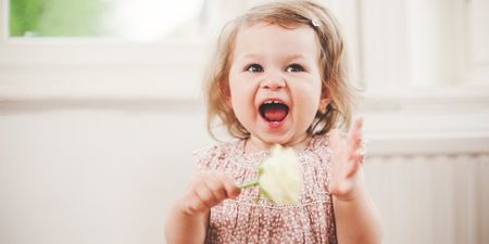 Toddler behaviour: Want to know what’s really going on with your little one?