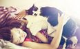 We Are Declaring Today ‘International Take A Nap’ Day (You Are Welcome!)