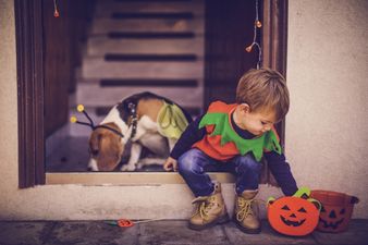 6 tips to keep your little ones safe this Halloween night