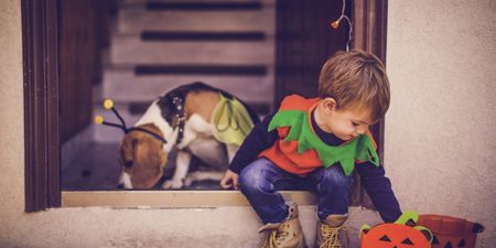6 tips to keep your little ones safe this Halloween night