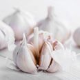 5 reasons garlic is good for you