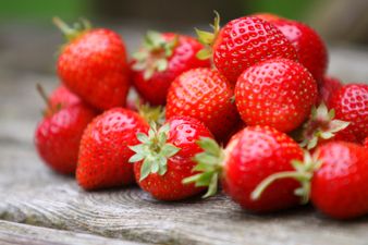 Like a munch between meals? Here’s 15 snacks that are all less than 50 calories