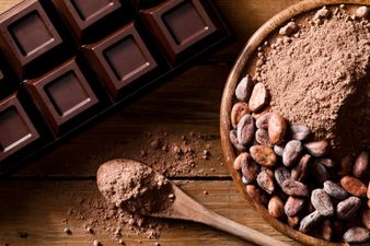 Chocolate slices are a thing (and we don’t know how we feel about it)