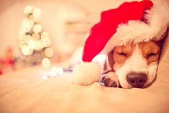 How get the most sleep possible ahead of Santa’s visit this Christmas Eve