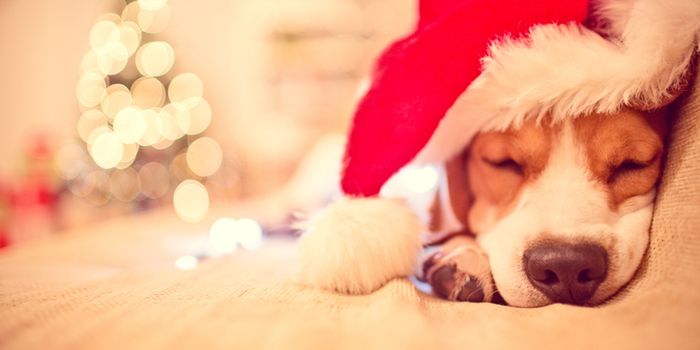 How get the most sleep possible ahead of Santa's visit this Christmas Eve