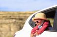 The car accessories you NEED to buy (before going anywhere ever again)