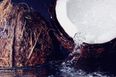 Coconut water is supposedly REALLY good for pregnant women