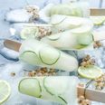 The gin and tonic popsicles that are about to save your lockdown summer