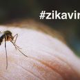 Zika: 10 Facts Every Pregnant Woman Should Know