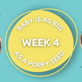 Your baby at 4 weeks: Week-by-week guide to pregnancy