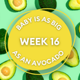 Your baby at 16 weeks pregnant: Week-by-week guide to development