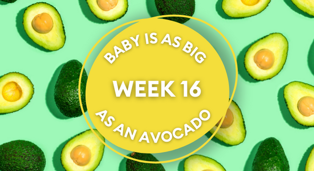 avocado pregnancy image