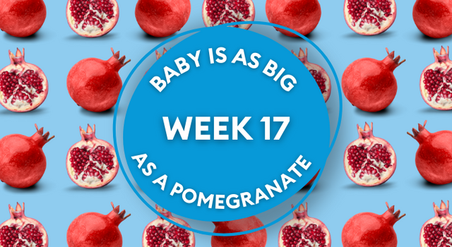 pomegranate pregnancy image