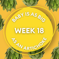 Your baby at 18 weeks pregnant: Week-by-week guide to development
