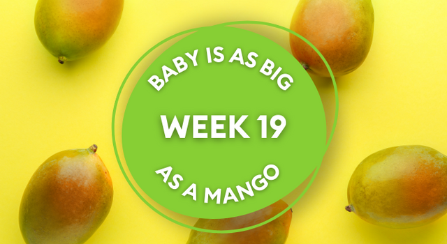 mango pregnancy image