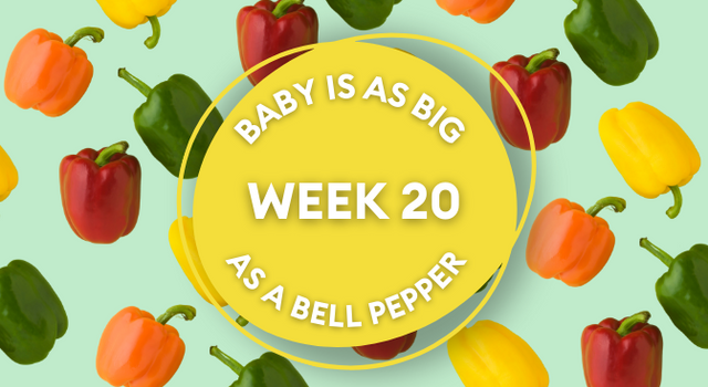 bell pepper pregnancy image