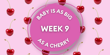 Your baby at 9 weeks pregnant: Week-by-week guide to development