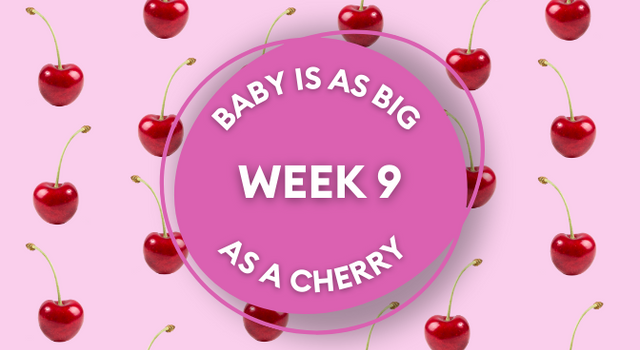 cherry pregnancy image