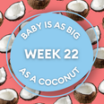 Your baby at 22 weeks pregnant: Week-by-week guide to development