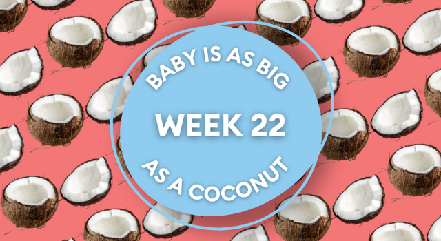 coconut pregnancy image