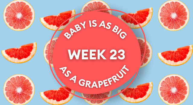 grapefruit pregnancy